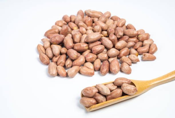 White Groundnut {peanuts}